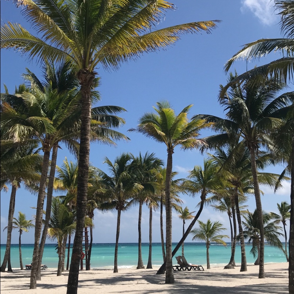 Meet your Posher, Ann